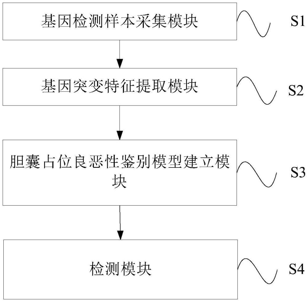 基于血漿游離DNA突變檢測(cè)的膽囊癌預(yù)測(cè)方法及設(shè)備