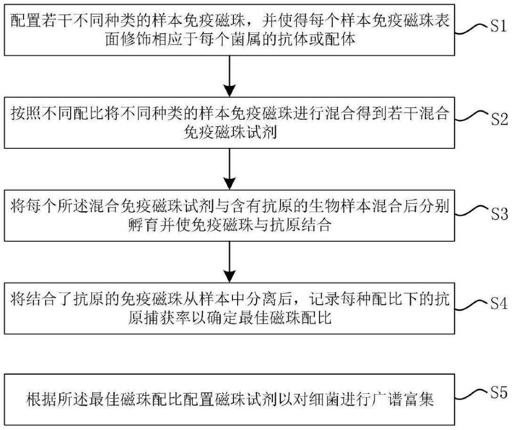 基于免疫磁珠的微生物檢測前廣譜富集方法及免疫磁珠試劑與流程