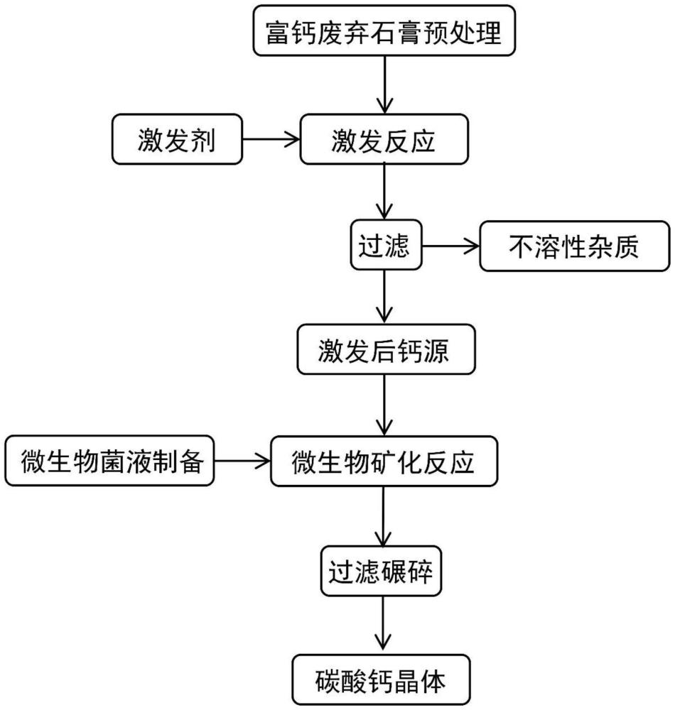 一種激發(fā)石膏類固廢用于微生物礦化生成碳酸鈣的方法