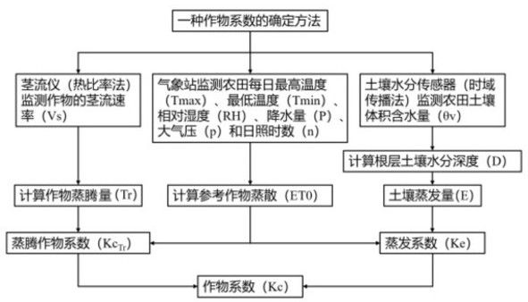 一種作物系數(shù)的確定方法、計(jì)算機(jī)設(shè)備及介質(zhì)