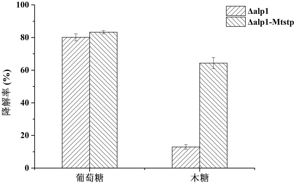 混合糖利用能力提高的嗜熱毀絲霉基因工程菌株及其應(yīng)用