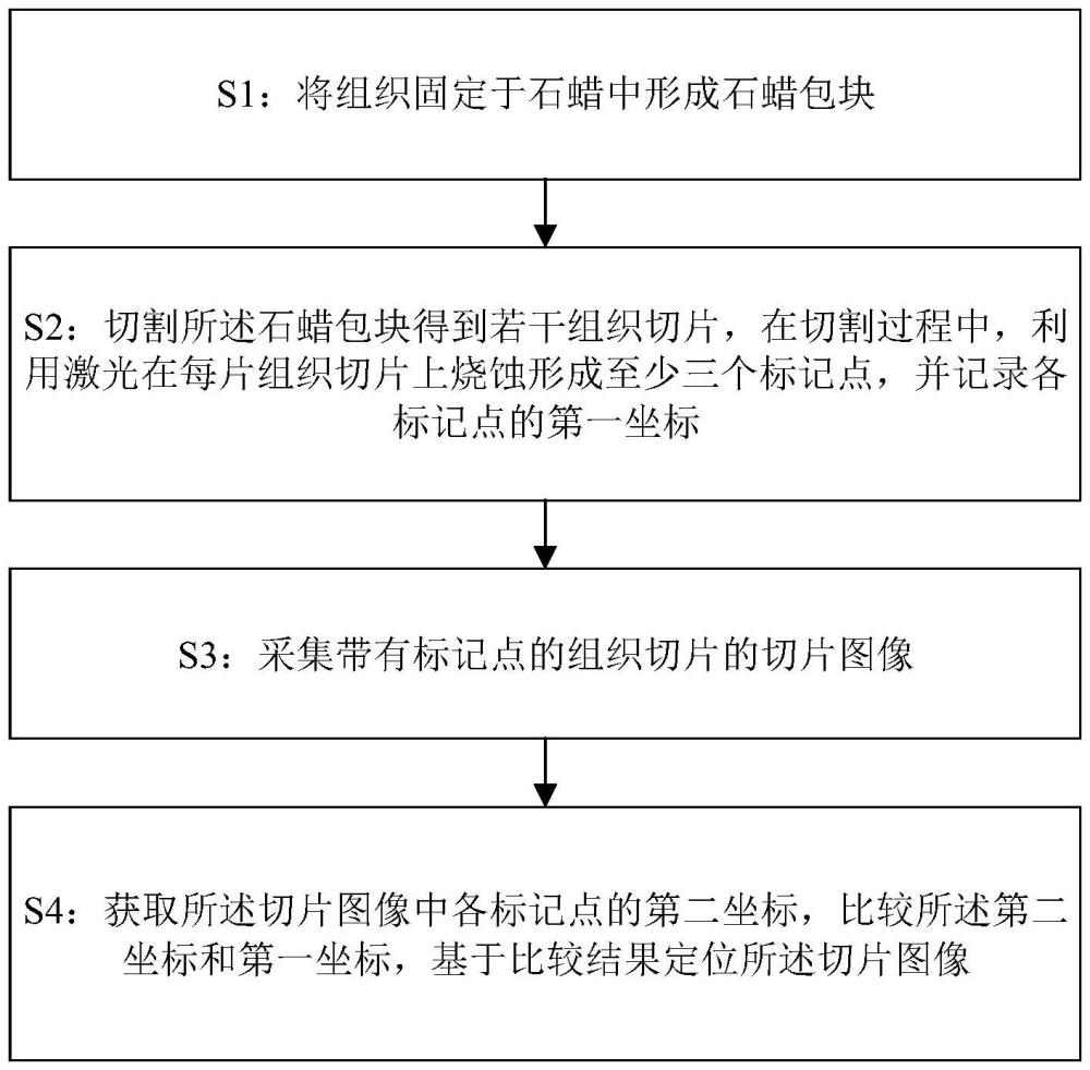 一種組織病理切片圖像的定位方法及系統(tǒng)與流程