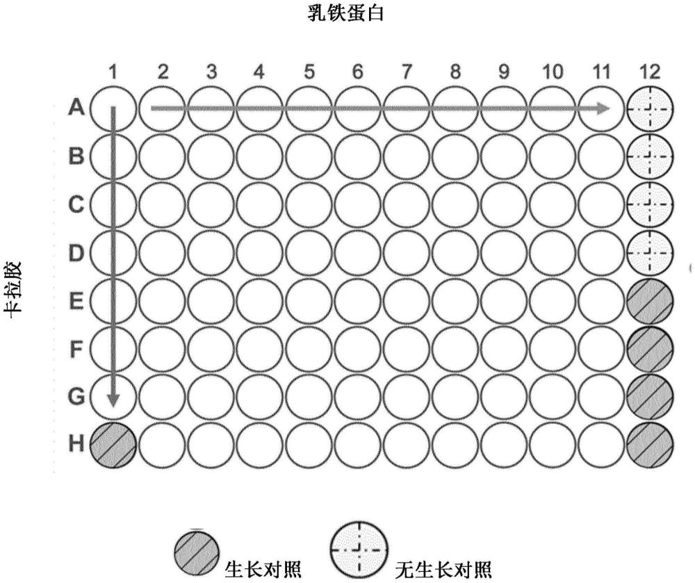 包含乳鐵蛋白和硫酸化多糖的組合的組合物的制作方法