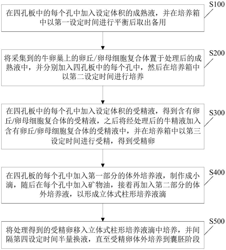 一種提高牛體外囊胚率的胚胎培養(yǎng)方法