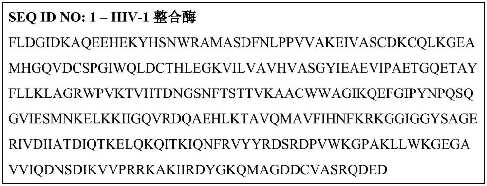 利用慢病毒載體的靶向DNA整合及其用途