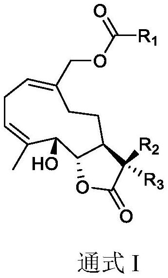 小白菊內(nèi)酯衍生物、其藥物組合物及其制備方法和用途