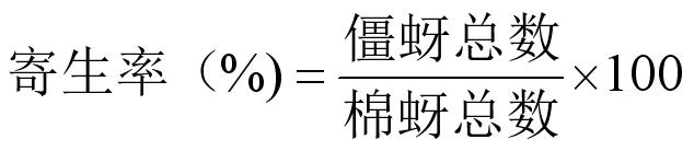 一種棉花棉蚜繭蜂的選育方法與流程