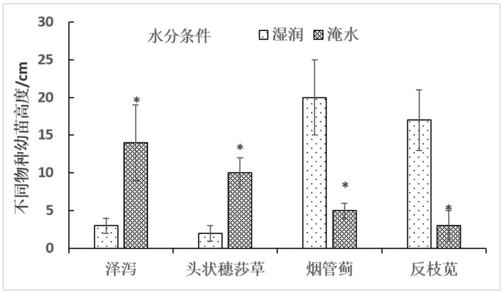 定量判定典型濕地植物的方法