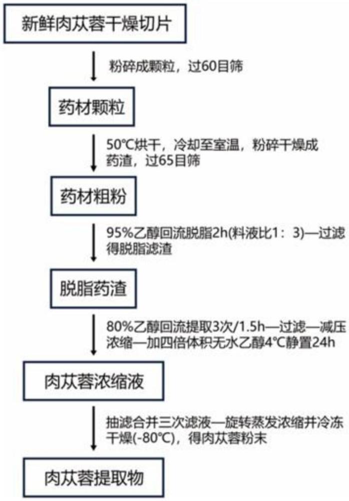 一種促進(jìn)創(chuàng)傷愈合的新疆肉蓯蓉提取物的制備方法及應(yīng)用