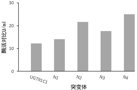 一種糖基轉(zhuǎn)移酶UGT91C1突變體及其應(yīng)用的制作方法