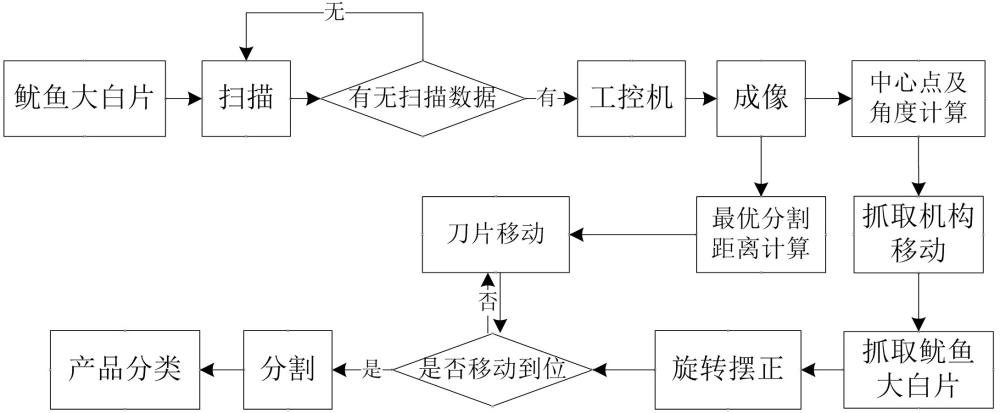 一种智能鱿鱼大白片分割方法及装置