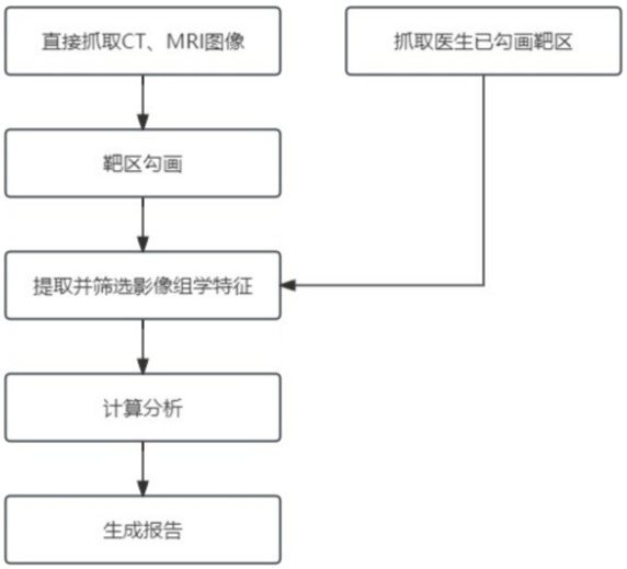 一种基于放射性皮炎智能预测系统终端的制作方法