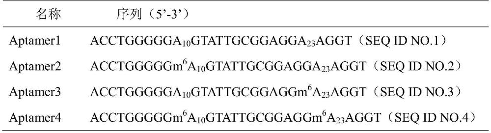 一种基于m6A表观遗传碱基修饰的ATP核酸适配体及其应用