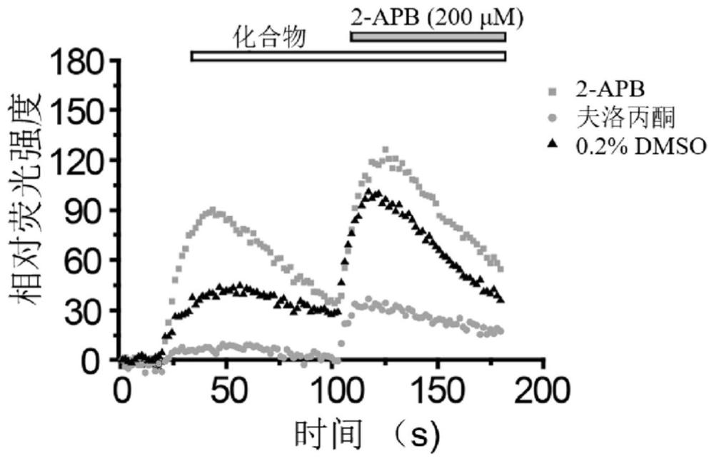 夫洛丙酮在制备TRPV3离子通道抑制剂的应用的制作方法