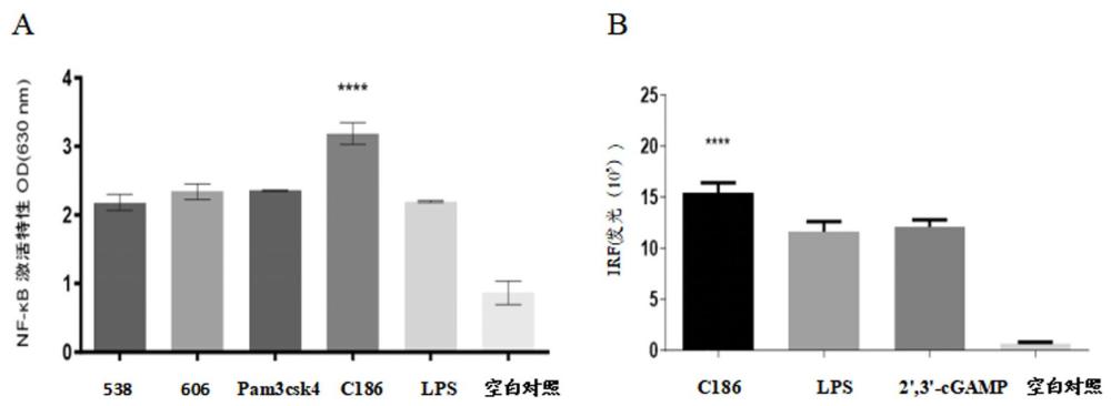 一株羅伊氏乳桿菌菌株及其外囊泡和用途的制作方法