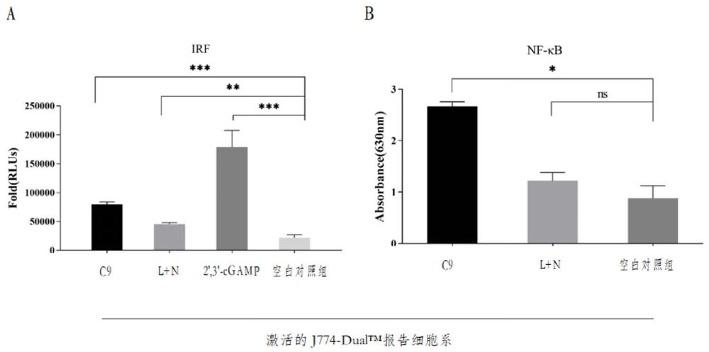 一株植物乳桿菌菌株、其細(xì)胞外囊泡及用途