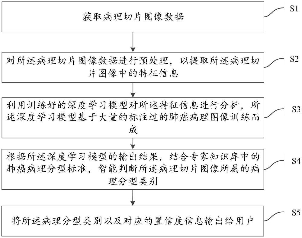 一種用于肺癌組織病理分型的智能判斷方法及系統(tǒng)