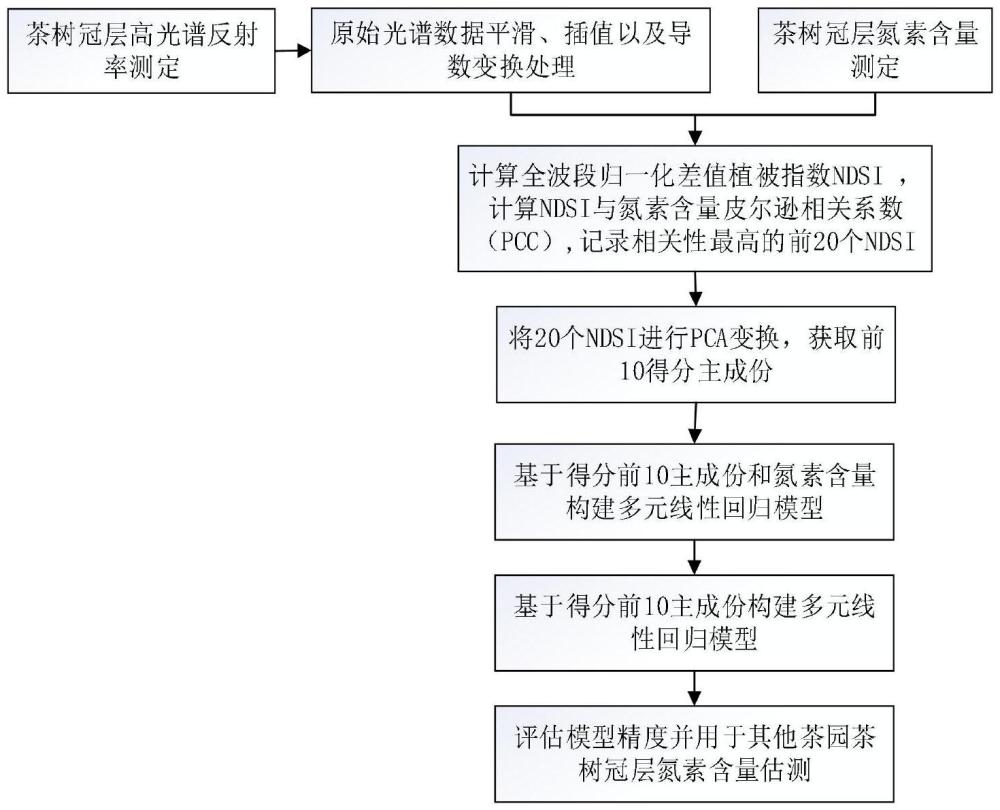 一种基于高光谱的茶树冠层叶片氮素估算方法