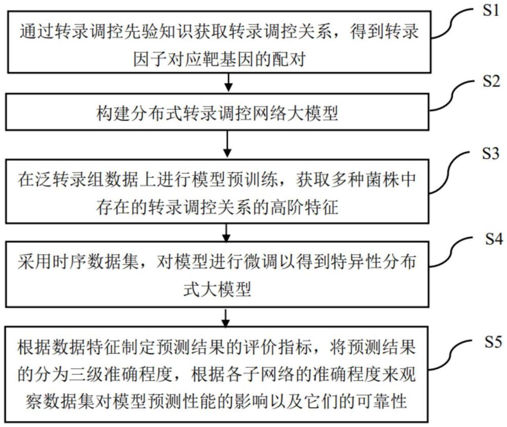 基于迁移学习的分布式转录调控网络大模型构建方法