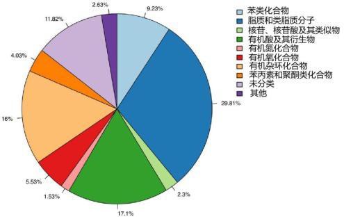 一种表皮葡萄球菌H62-3代谢产物凝胶制剂及其制备方法与应用