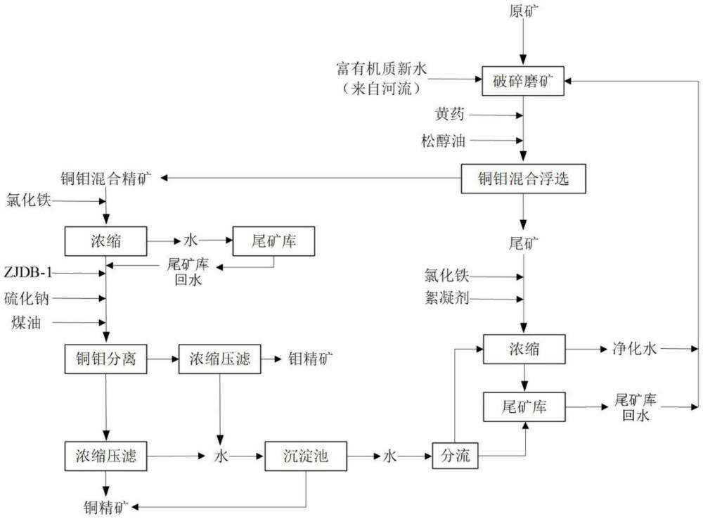 高寒富有機(jī)質(zhì)地區(qū)銅鉬礦高效浮選分離及水質(zhì)凈化方法與流程