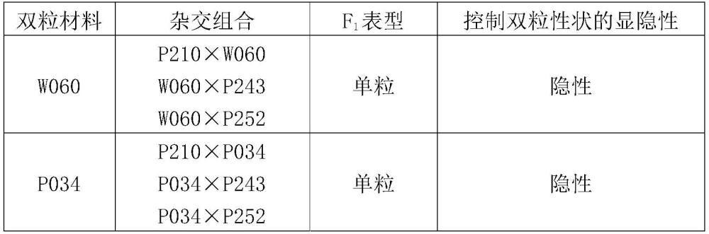 高粱雙粒性狀基因SbDG2及其在調(diào)控雙粒高粱形成中的應用