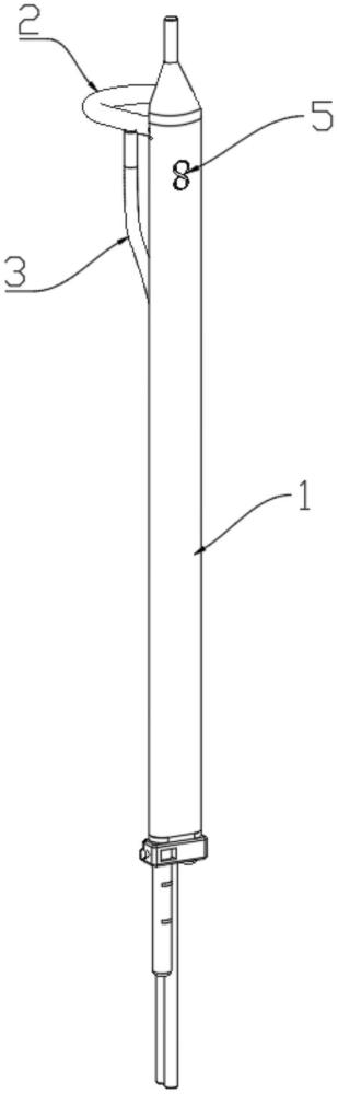 一種套馬桿結(jié)構(gòu)腹主動(dòng)脈支架植入術(shù)輔助裝置