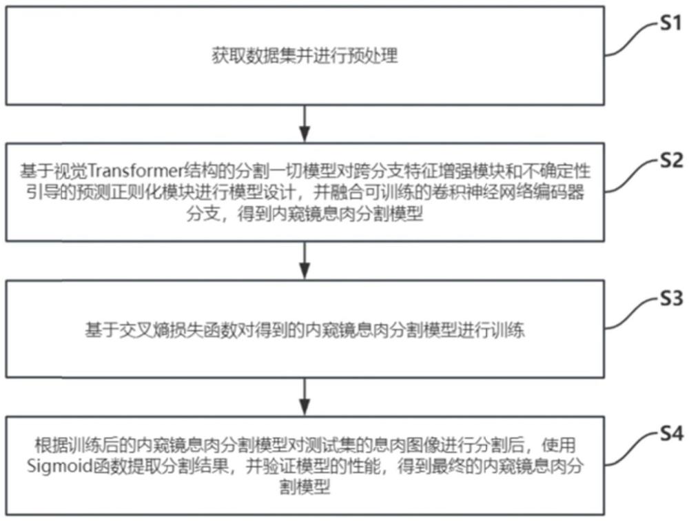 基于跨分支特征增强和不确定性引导的内窥镜息肉分割方法与流程