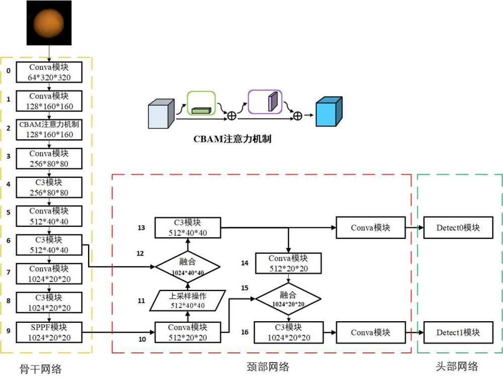 基于圖像與光譜融合的農(nóng)產(chǎn)品品種鑒別方法、系統(tǒng)及應用