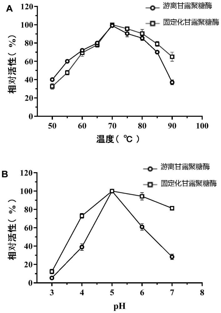 一种利用酵母孢子固定化β-甘露聚糖酶和β-木聚糖酶的方法、应用及其产品与流程