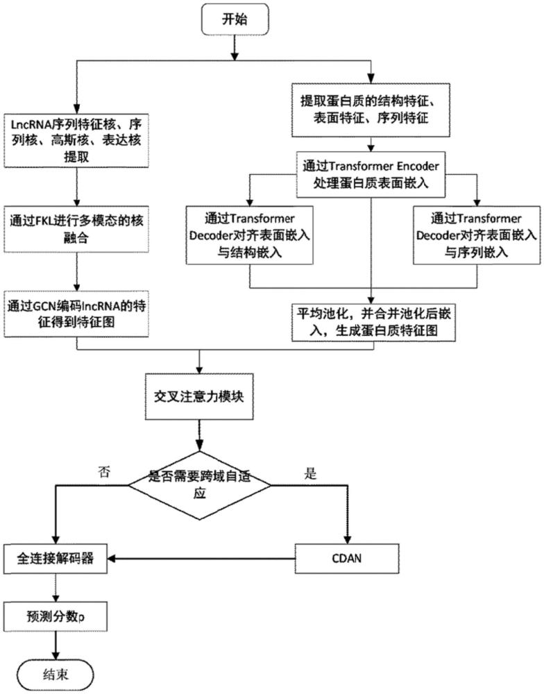 lncRNA-蛋白質(zhì)交互預(yù)測(cè)方法及系統(tǒng)