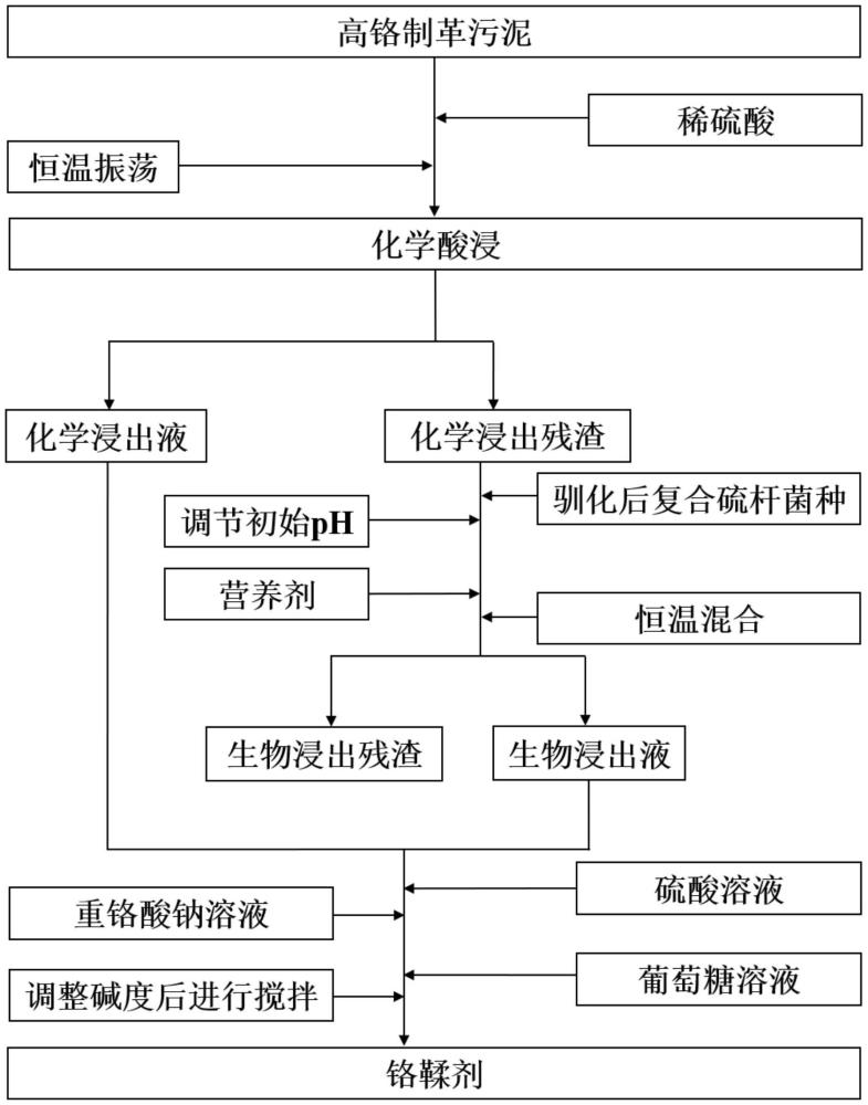 一種高鉻制革污泥中鉻的浸出方法