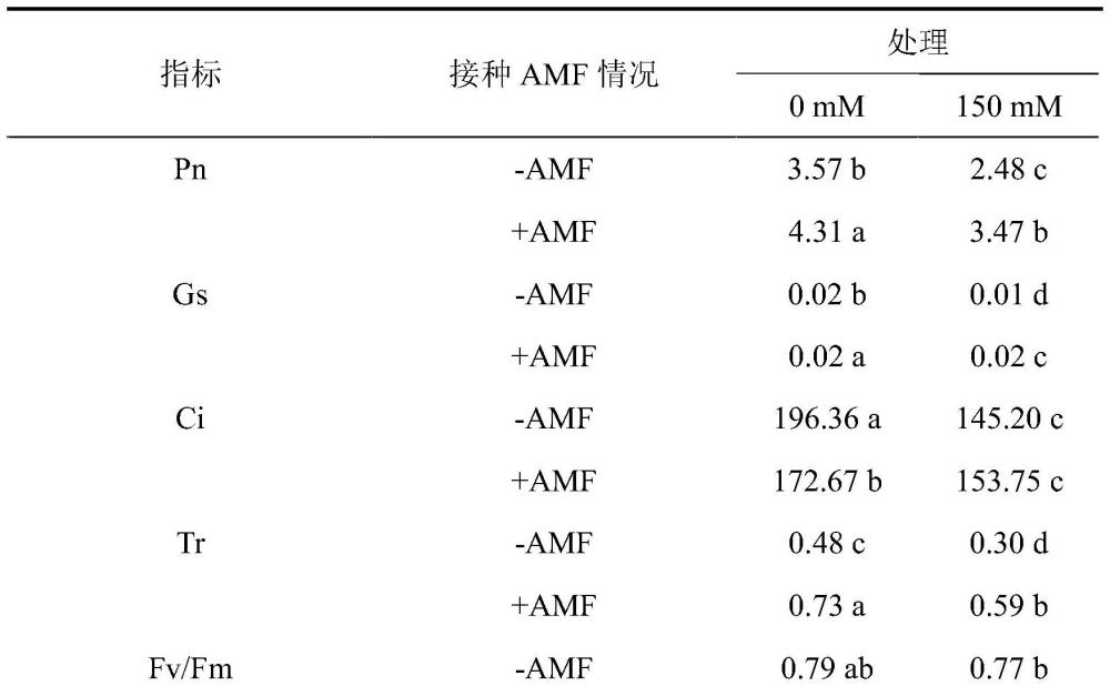 一種利用叢枝菌根真菌緩解蓖麻鹽脅迫作用的方法及應用