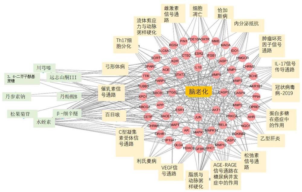 一种减缓脑退行性病变的中药组合物及其制备方法和应用与流程