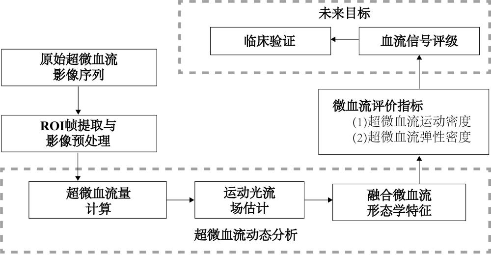 基于光流分析的肌骨超聲超微血流量化分級(jí)方法與系統(tǒng)