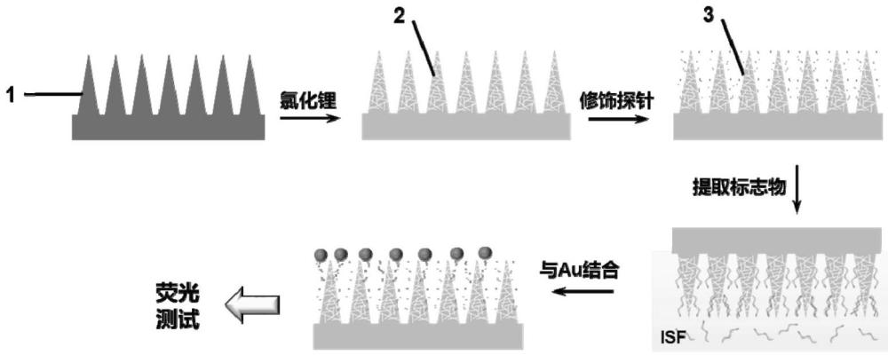 一種用于miRNA檢測的多孔水凝膠微針及其制備和檢測方法