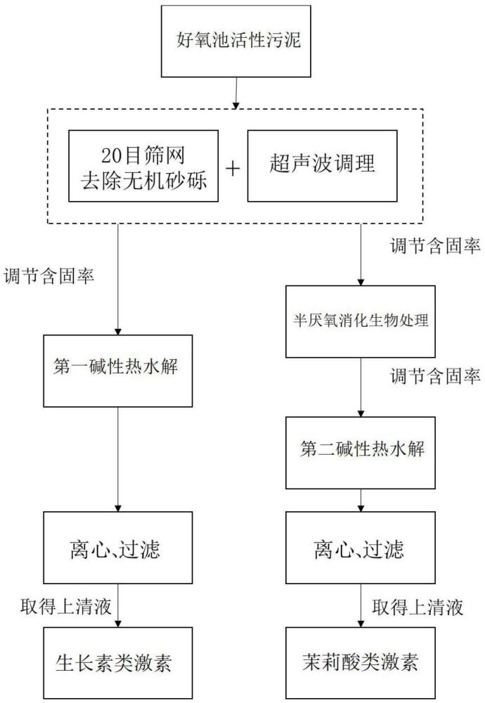 污泥源植物刺激素及其定向制備方法和應(yīng)用