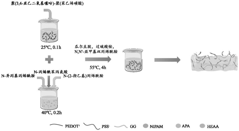 一種用于電生理信號(hào)監(jiān)測(cè)的水凝膠生物電極貼片及其制備方法與應(yīng)用