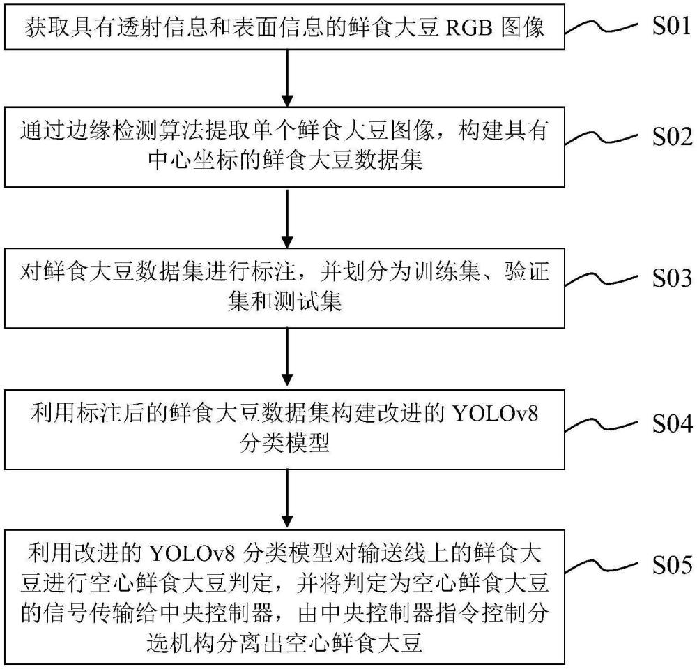 一種基于機(jī)器視覺(jué)的空心鮮食大豆檢測(cè)方法及分揀裝置與流程