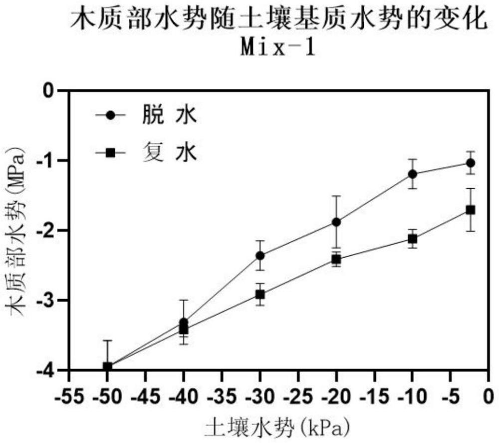 一種土壤基質(zhì)評(píng)估鑒定的方法