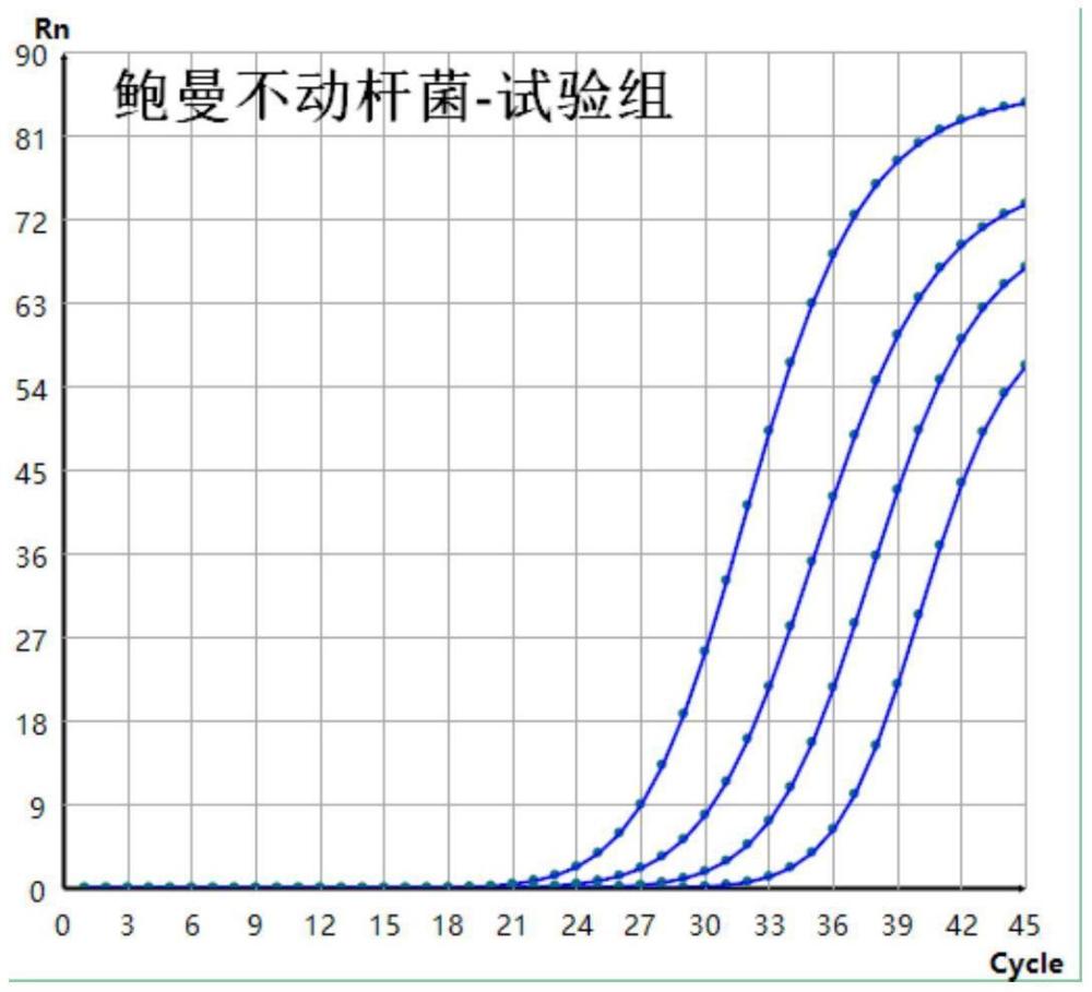 用于檢測鮑曼不動桿菌、嗜麥芽窄食單胞菌和洋蔥伯克霍爾德菌的引物探針組合、試劑盒的制作方法