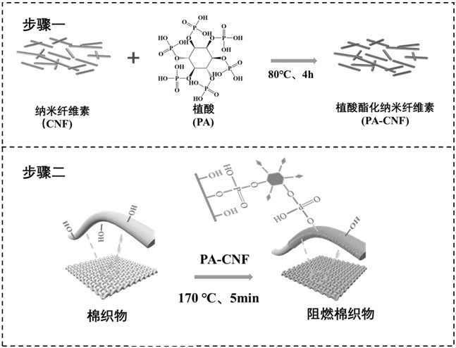 一種基于植酸酯化納米纖維素纖維的高效阻燃織物及其制備方法