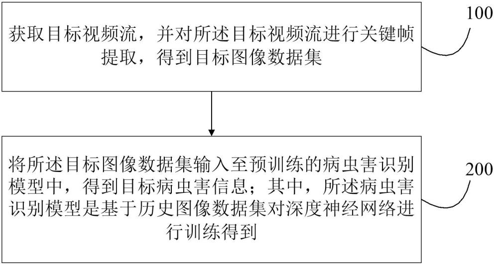 一種基于視頻關鍵幀的病蟲害信息識別方法和裝置