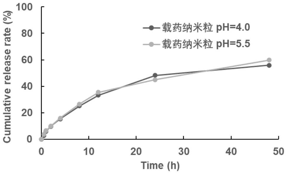 一種隱丹參酮二氧化錳納米粒及其制備方法與應(yīng)用