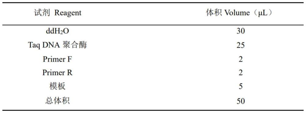 一種正向調(diào)控白菜葉緣裂刻的基因及其應(yīng)用