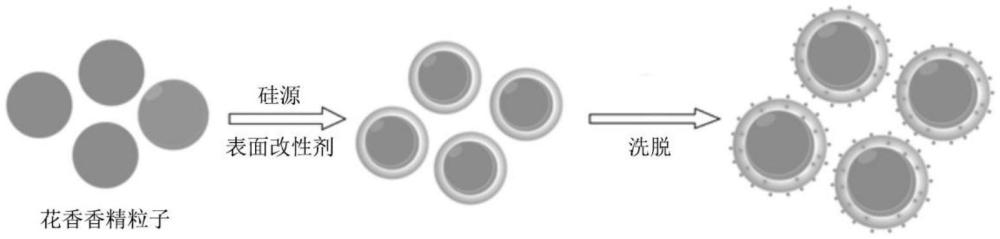 一種緩釋花香香精粒子、制備方法及其應(yīng)用與流程