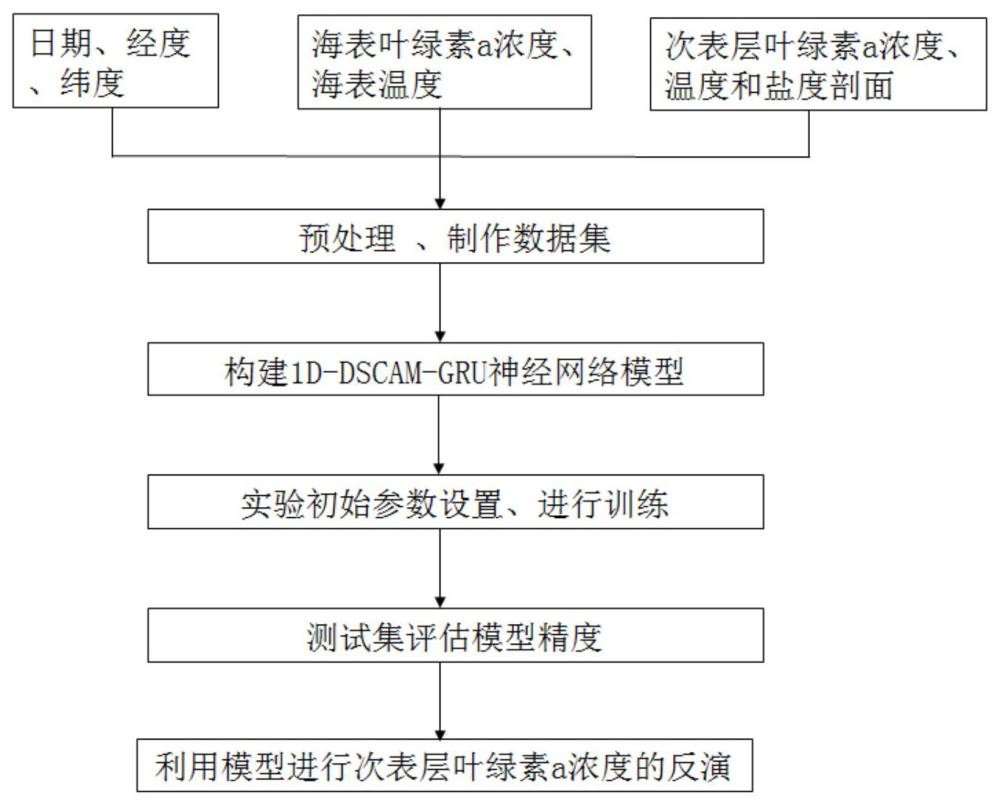 基于1D-DSCAM的次表層葉綠素a濃度的反演方法與流程