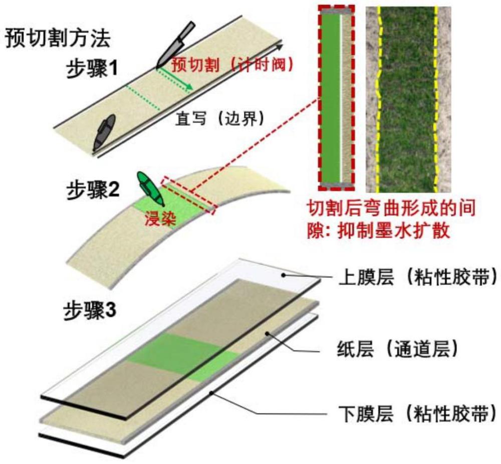 可編程紙芯片及其制備方法、微流控分析芯片