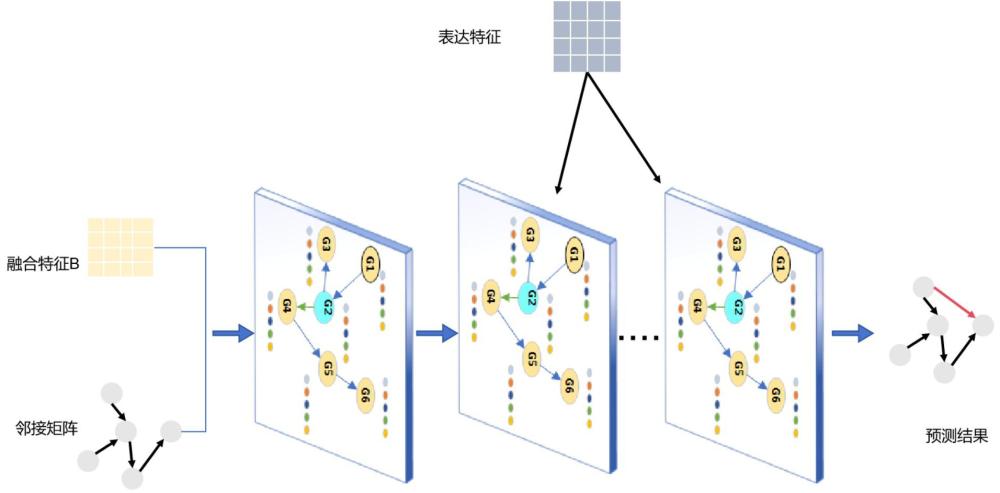 基于深層有向圖卷積的基因網(wǎng)絡(luò)調(diào)控關(guān)系的重構(gòu)方法