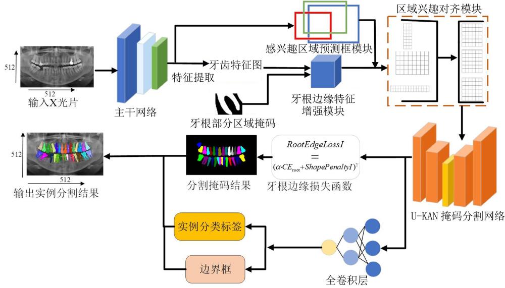 一種基于牙根邊緣加權(quán)損失的牙齒圖像分割方法